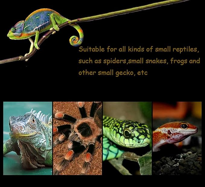 kathson 2PCS Reptile Feeding Box Portable Small Snake Terrarium Habitat Mini Pet Breeding Cage Hatching Container Transparent Gecko Houses for Small Frog Tarantula Spider Scorpion (White)