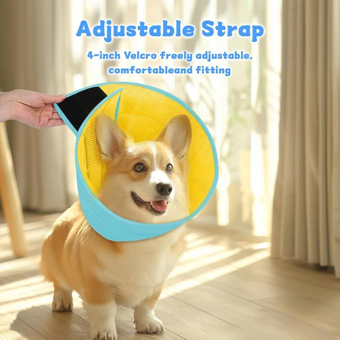 Inspack Soft Dog Cone Collar Alternative, E Cones for Small Dogs/Cat/Puppy to Stop Licking after Surgery, Comfortable All Paws Comfy Elizabethan Collars, Neuter Recovery Ecollars of Shame Alternatives