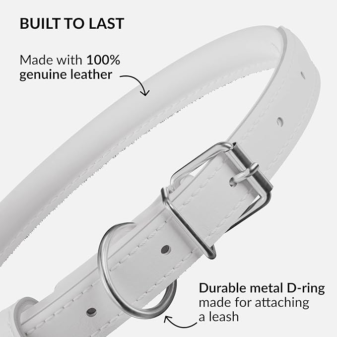CollarDirect Rolled Leather Dog Collar, Soft Padded Round Puppy Collar, Handmade Genuine Leather Collar Dog Small Large Cat Collars 13 Colors (15-19 Inch, White Smooth)