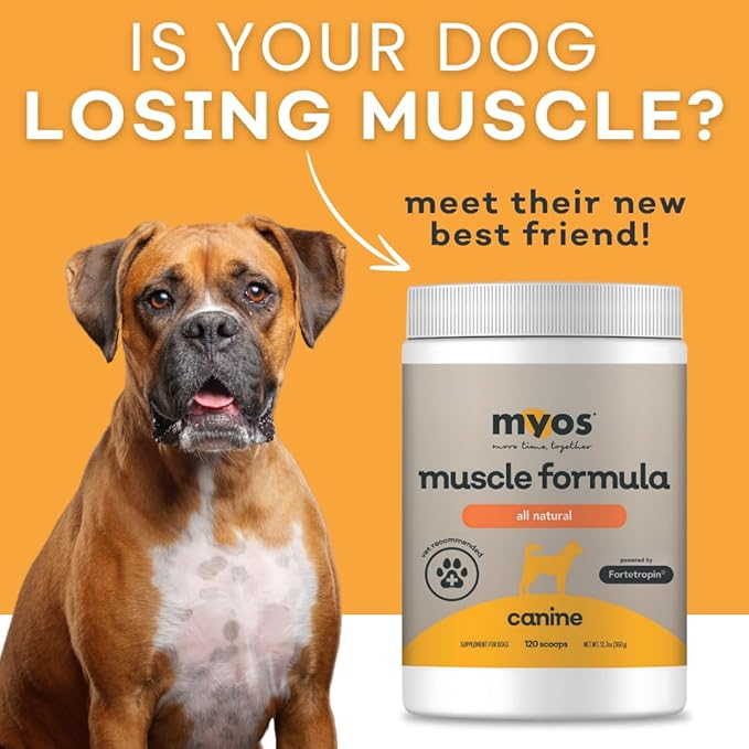 MYOS Canine Muscle Formula - All-Natural Muscle Building Supplement - Helps Reduce Muscle Loss in Dogs Due to Normal Aging and Improves Recovery from Injury or Surgery