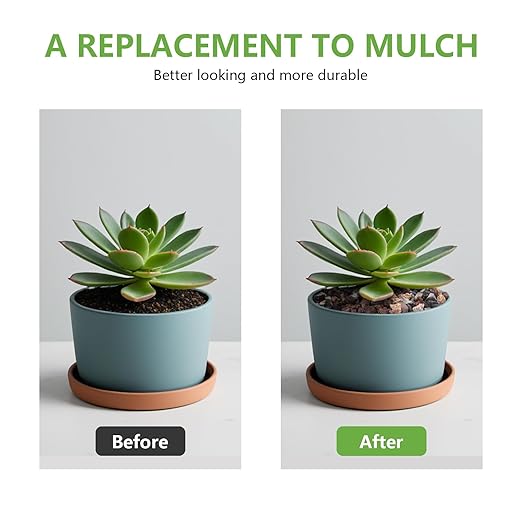 5lbs Small Rocks for Terrarium, Planters Drainage, 1/5 Inch Lava Rock for Bonsai Tree, Decorative Gravel for Succulents, Bamboo, Cactus, Mixed Color