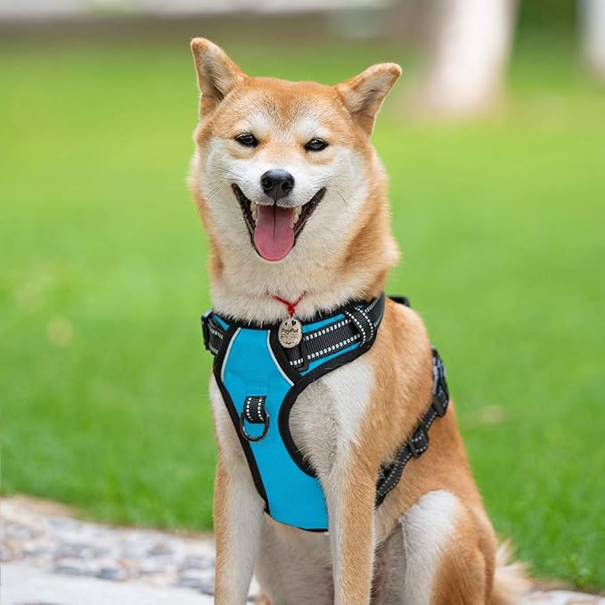 PoyPet No Pull Dog Harness, Reflective Comfortable Vest Harness with Front & Back 2 Leash Attachments and Easy Control Handle Adjustable Soft Padded Pet Vest for Small to Large Dogs (Blue,S)