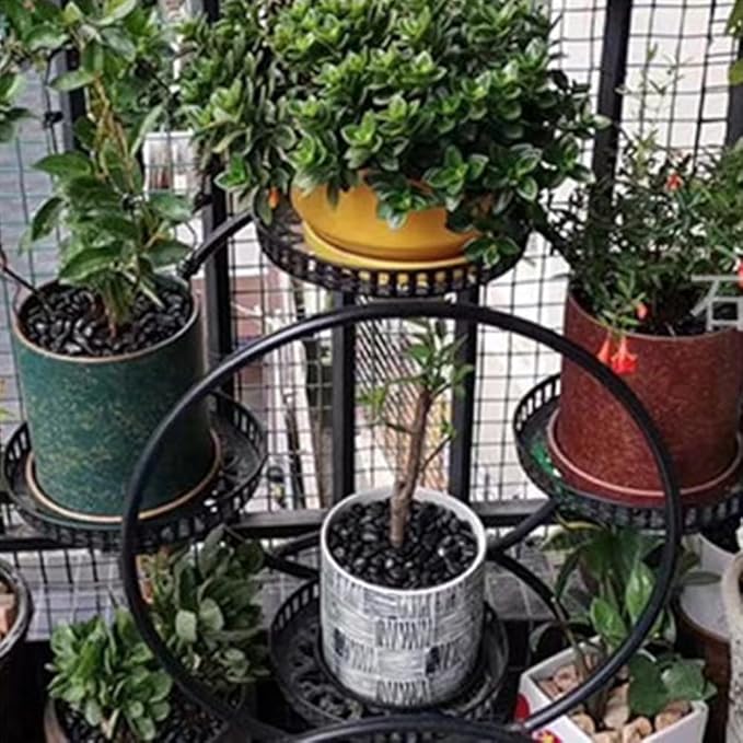 HappyFiller 18 LB Black Pebbles Decorative Polished Terrarium Rocks Stones for Aquarium,Fish Turtle Tank,Fountain,Plants Top Dressing,Cactus,Succulents,Garden Landscaping,0.8-1.6 Inch