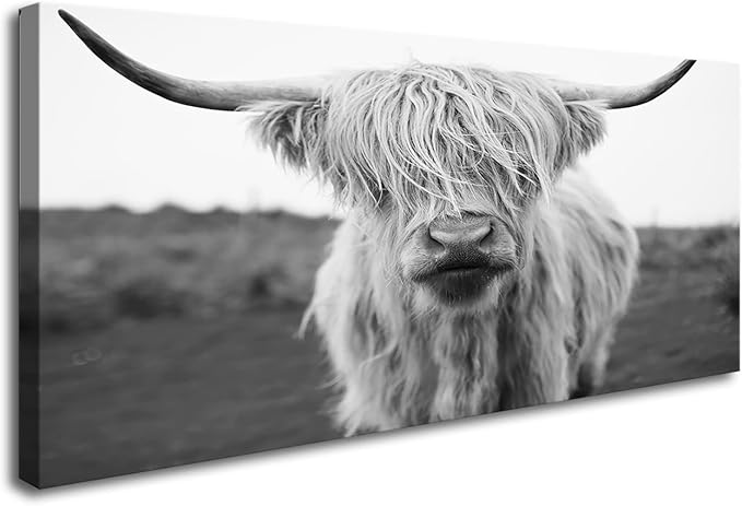 XXMWallArt FC3650 Highland Cow Canvas Art - Black and White Animal Wall Art for Living Room, Bedroom, Office Decor