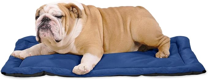 K9 Ballistics Tough Ripstop Dog Crate Pad - Durable & Machine Washable with Non-Skid Bottom and 120-Day Warranty, Fits 36" Wire Crates - Medium, Blue Quartz