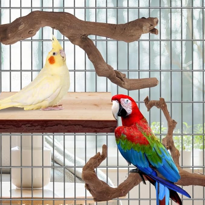 Parrot Perch Bird Perch Stand Set Natural Wild Wood Grape Sticks Paw Grinding Fork Parakeet Climbing Standing Branches Toys Cage Accessories for Conure,Cockatiels Lovebirds,Budgies Chewable 6PC