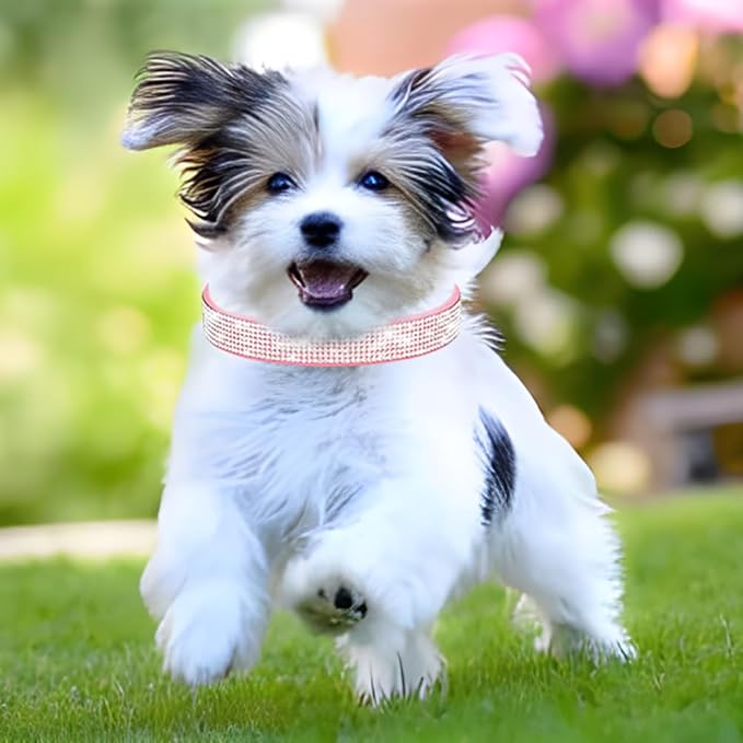 Rhinestone Dog Collar for Small Dogs, Bling Diamond Fancy Crystal Glitter Pretty Jewel Pet Puppy Collars for XXS XS Small Medium Large Breed Girl Dogs Female Cats Kitten, Colorful Red XXSmall