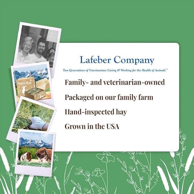 LAFEBER'S Nutri-Hay Box for Rabbits and Guinea Pigs 40 oz