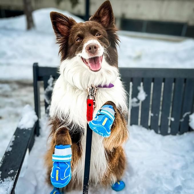 QUMY Dog Shoes for Large Dogs, Medium Dog Boots & Paw Protectors for Winter Snowy Day, Summer Hot Pavement, Waterproof in Rainy Weather, Outdoor Walking, Indoor Hardfloors Anti Slip Sole Blue 5