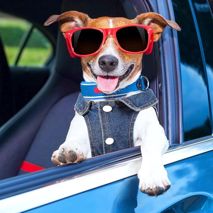 Dog Denim Jacket with Embroidered Daisy, Ripped Vintage Jean Vest for Small Dogs, Pugs, Chihuahuas, Spring Summer Autumn Festival Outfit