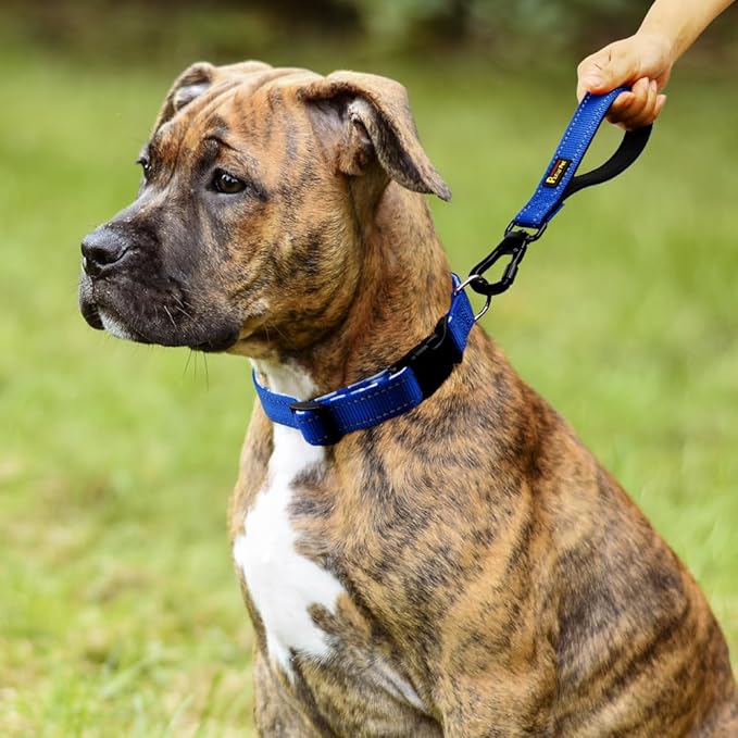 PLUTUS PET Short Dog Leash, Reflective Nylon Padded Handle, Strong Traffic Leash with Carabiner Clip, Perfect for Large or Medium Dogs (10”，Royal Blue)