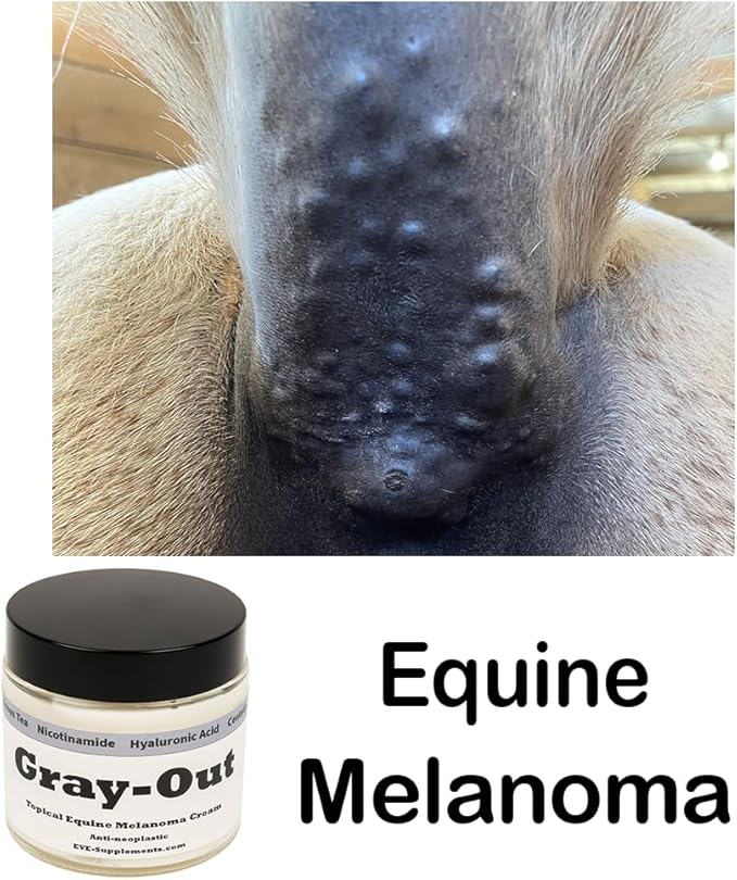 Gray-Out | Equine Melanoma Cream | Topical for Grey Horses Supports Skin Health & Appearance | Easy-to-Apply Formula for Lumps & Blemishes | 4 oz Jar