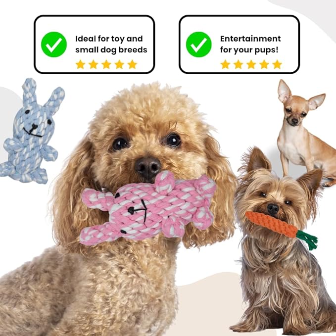 HILLBERRY Dog Rope Chew Toy Cotton Pink and Blue Rabbits and Carrot Bundle Set for Teething Puppy, Small, Miniature and Toy Breed Cute Pet Play Essentials