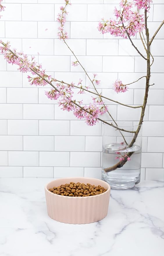 Waggo Ripple Ceramic Dog Bowl for Medium and Large Breeds - Modern with Matte Finish, Heavyweight Durable Pet Food and Water Dish Crock, Dishwasher Safe (Medium, White)