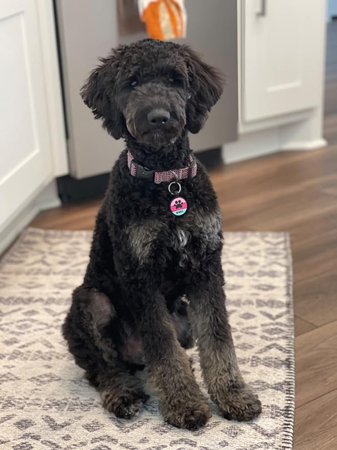 LYP Original Soundless Pet ID Tags | Custom Dog Tags Personalized for Pets | Durable Silicone Deep Engraved Dog Tag | No More Jingling | Pink Paw