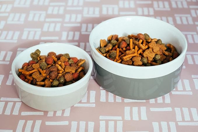 Waggo Dipper Ceramic Dog Bowl for Small and Large Breeds - Heavyweight and Durable Pet Food and Water Dish Crock, Dishwasher Safe, Modern (Dolphin, Large)