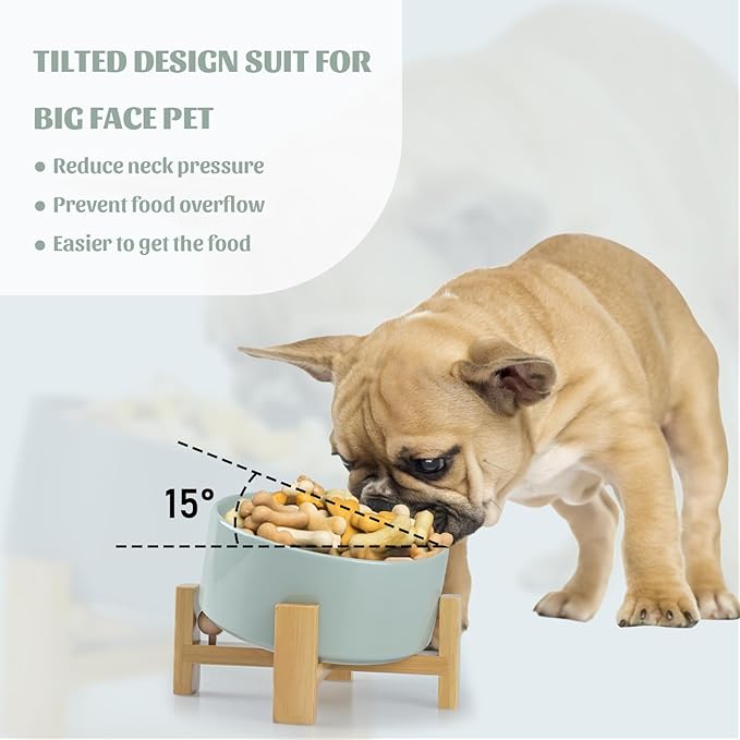 SPUNKYJUNKY 15° Slanted Ceramic Dog and Cat Bowl with Wooden Stand, Tilted Bulldog Food and Water Bowl No Slip Non-Spill for Cats Medium Dogs Big Face Pets 28.7 OZ (3.6 Cups, Morandi Green)