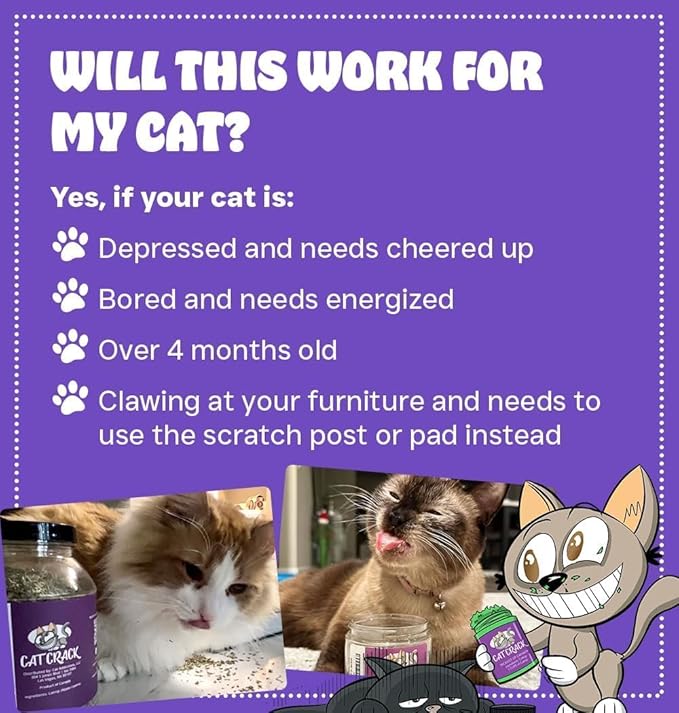 Cat Crack Catnip, Zoomie-Inducing Cat Nip Blend, North American Made & 100% Natural, Safe & Non-Addictive Catnip Treats Used to Supplement Cat Nip Toys, Spray, & Accessories (4 Cups)