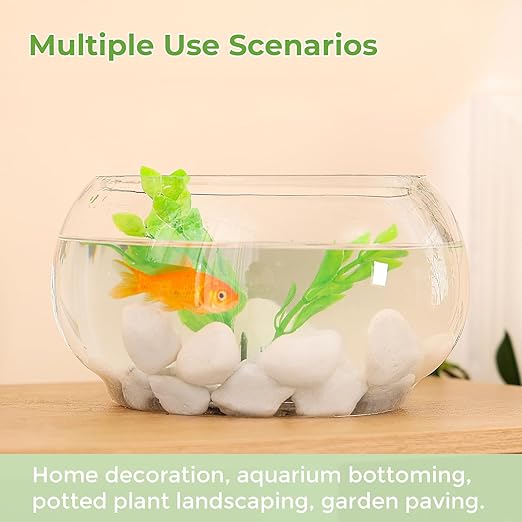 SIDONG 10 lbs White River Rocks, 1.2-2 Inches Matte Pebbles for Indoor Plants, Aquarium Rocks Used in Fish Tank, Decorative Stones for Plants, Vases, Home Décor, Crafting, Garden Landscaping