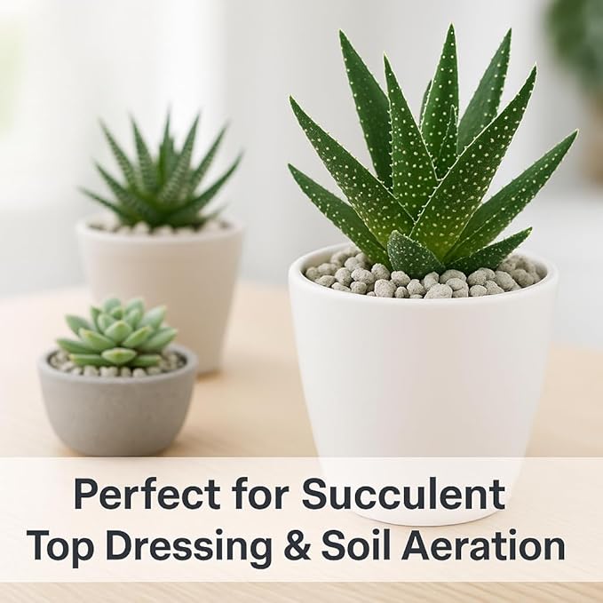 Horticultural Pumice for Plants, Natural Pumice Stone Soil Amendment, 3/8-1/4 inch, Made in USA (30 quarts - 27 lbs)