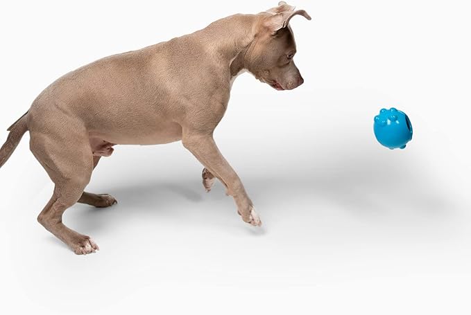 Jolly Dipper Treat Dispensing Dog Toy