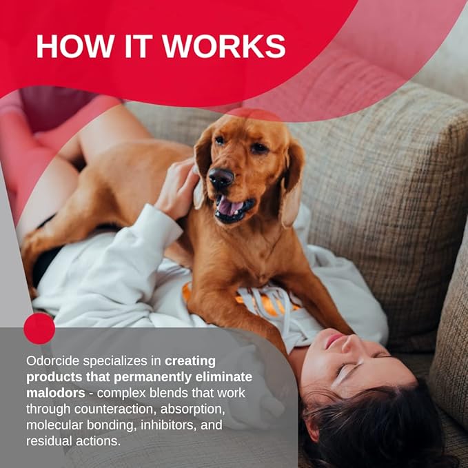 Odorcide Odor Eliminator Concentrate: Odor Eliminator for Strong Odor on Carpets, Hardwood & More - Smoke, Sweat & Pet Odor Eliminator for Home w/Non-Enzymatic Formula, 16 oz