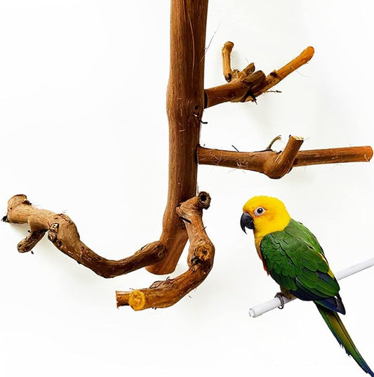 Allazone Natural Parrot Perch Bird Stand Branch Wild Grape Stick Paw Grinding Branch Parakeet Climbing Standing Branches Toy Chewable Cage Accessories for Small Lovebirds Budgies Cockatiels