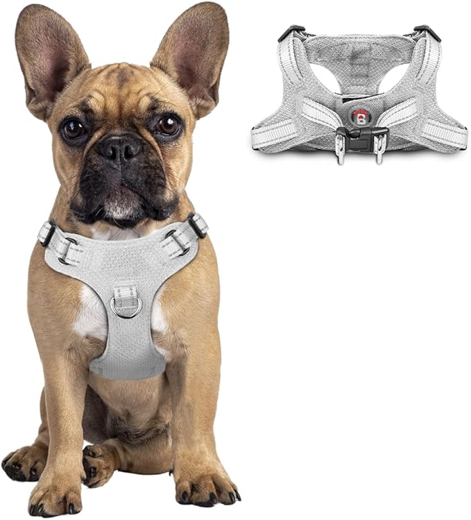 Dog Harness Step in Dog Vest Harness, Reflective Adjustable Puppy No Pull Harness Breathable Soft for Small and Medium Dogs Cats, Grey, S