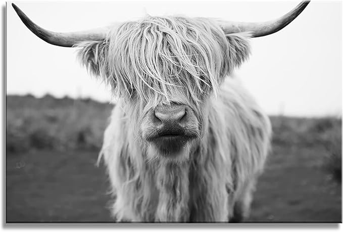 XXMWallArt FC3669 Highland Cow Canvas Art - Black and White Animal Wall Art for Living Room, Bedroom, Office Decor