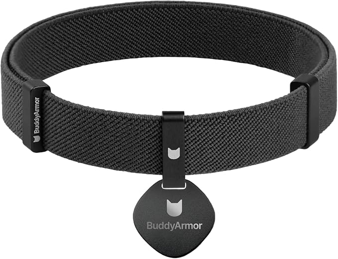 Safety Cat Collar and ID Tag Set - Elastic Quick Release Non Breakaway Personalized Anodized Aluminum Engraved Pet Name Tag, Lightweight for Kitten Small Large Cats