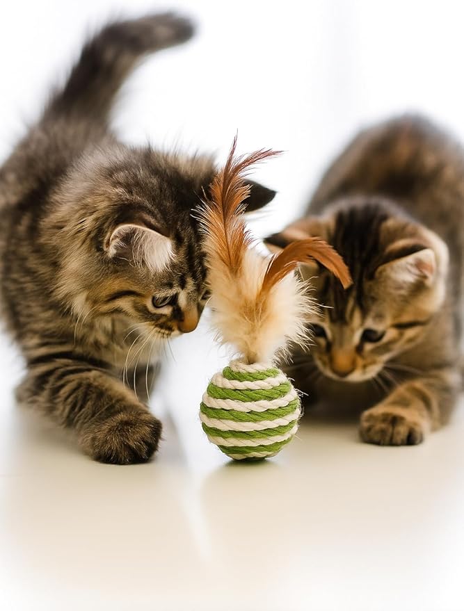 Ball for cat with Feathers - Balls for Cats– Natural Toy for Indoor Cats – Eco-Friendly, Durable, Interactive Play Balls for Kittens – Pet-Safe Chew & Scratch Toys (Green)