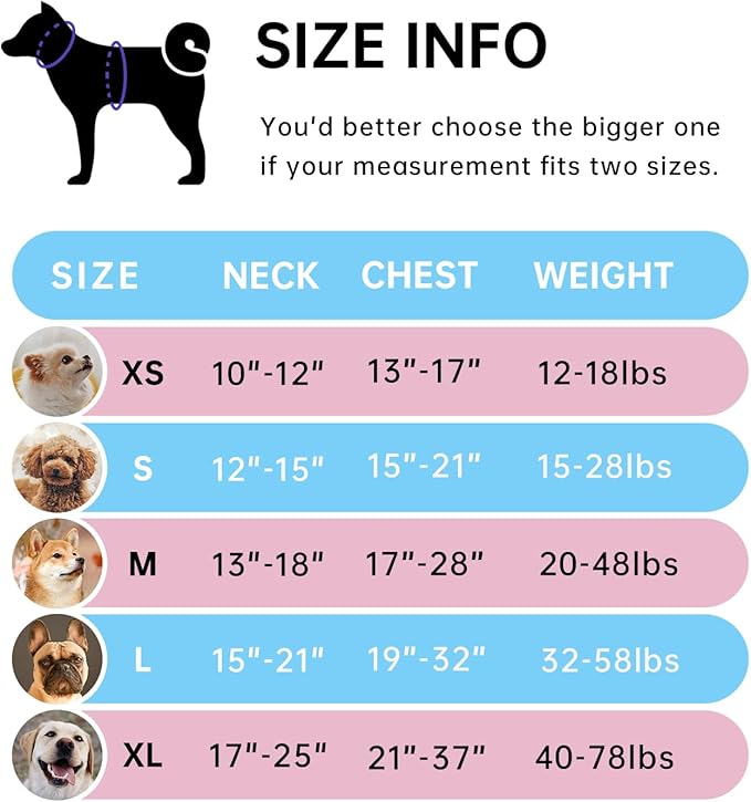 IVY&LANE No Pull Dog Harness for Large Dogs, Dog Vest Harness with Leash, Safety Belt and Storage Strap, Fully Adjustable Harness, 360° Reflective Strip, Soft Handle (Blue,XL)