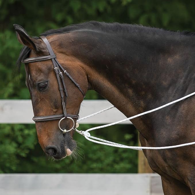 Advanced European Training System | Advanced Training Tool | Enhances Horse Carriage and Headset | Encourages Forward Movement | Strengthens Key Muscles | Not for Beginners