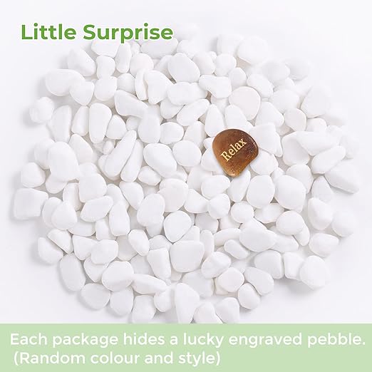 SIDONG 10 LB White River Rocks, 0.3-0.5 Inches Matte Pebbles for Indoor Plants, Aquarium Rocks Used in Fish Tank, Decorative Stones for Plants, Vases, Home Décor, Crafting, Garden Landscaping