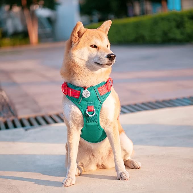 PHOEPET No Pull Dog Harness, Unique Colors Reflective Adjustable Dog Vest, with Soft Training Handle Metal Clips for Small Medium Large Dogs (Dark Green Base & Red Straps,L)