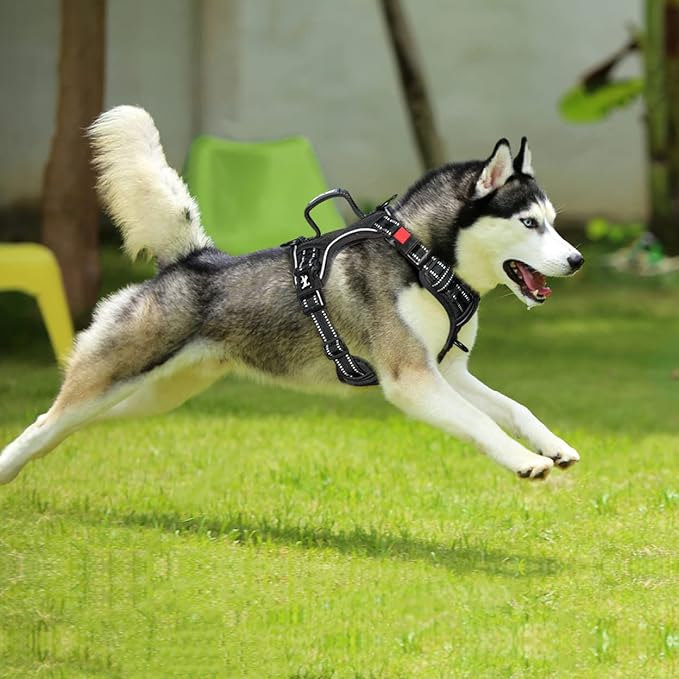 PoyPet No Pull Dog Harness, No Choke Front Clip Reflective Dog Vest with Soft Padded Vertical Handle, 3 Leash Attachments for Small Medium Large Dogs (Black,M)