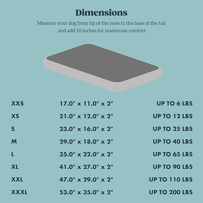 Stoutwool Indestructible Dog Bed - Fluffy Chew Proof Dog Crate Pad - Tough Kennel Pad for Aggressive Chewers - Ideal for Extra Small Breeds & Fits 22-Inch Crate - 21"x12", Jacaranda