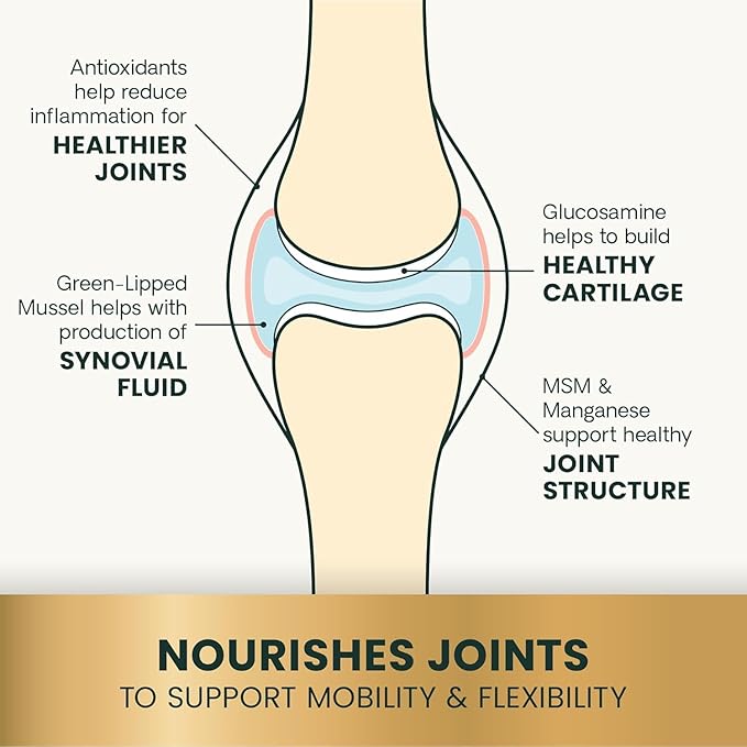 VetriScience Ultimate Strength Healthy Hip & Joint Chews, GlycoFlex Glucosamine, Chondroitin & Green-Lipped Mussel Joint Support Supplement for Dogs, Soothe Joint Discomfort, Peanut Butter, 120 Count
