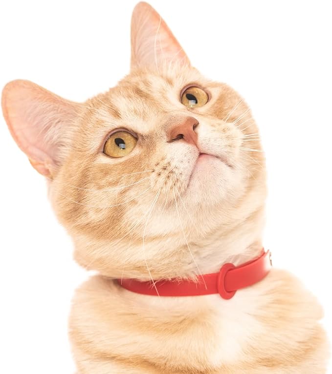 Red Cat Collar - Soft, Comfortable, and Lightweight Breakaway Collar with Name Tag Ring for Outdoor Cats and Sensitive Skin Kittens by Nuvuq (6 ⅞" to 10 ¼", Red)