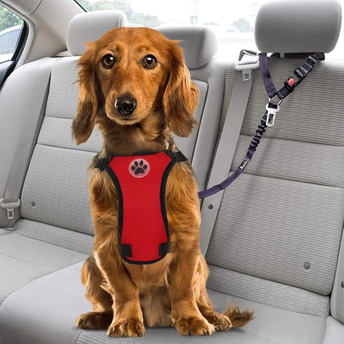 SlowTon Dog Seat Belt for Car, 2 Pack Dog Car Harness Seatbelt Adjustable with Elastic Bungee Buffer, 2 in 1 Pet Car Leash Headrest Restraint Dog Reflective Safety Tether (Purple, Headrest+Clip)