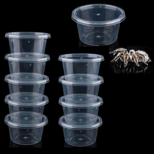 10 Pcs Spider Terrariums Breeding Box Small Round Hatching Container Acrylic Feeding Box for Spider Scorpion Centipede Insect
