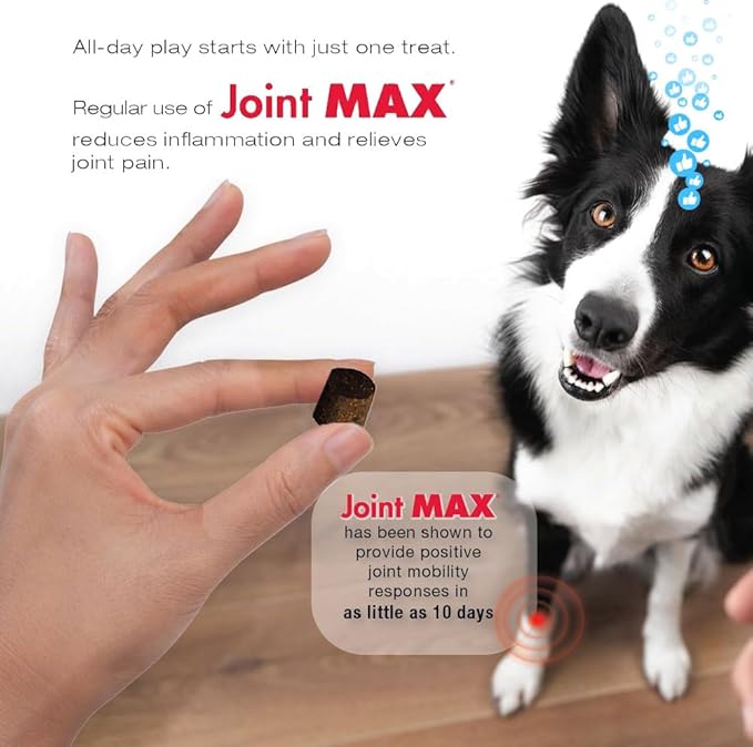 PHS Joint MAX Triple Strength (TS) Soft Chews for Dogs - Glucosamine, Chondroitin, MSM, Turmeric, Omega 3 - Hip and Joint Pain Relief and Support for Dogs - Made in USA - 30 Soft Chews