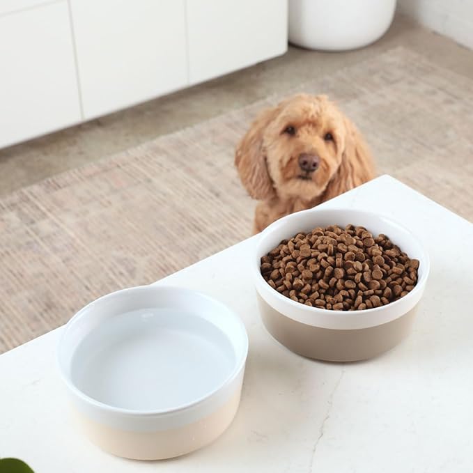 Waggo Dipper Ceramic Dog Bowl for Small and Large Breeds - Heavyweight and Durable Pet Food and Water Dish Crock, Dishwasher Safe, Modern (Teracotta, Medium)