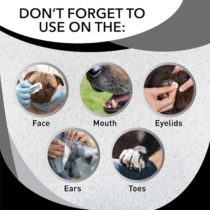 Skunk Off Pet Shampoo – Ready to use Skunk Odor Remover for Dogs, Cats, Carpet, Car, Clothes & More – Skunk Shampoo Non-Enzymatic Formula (1 Gallon)