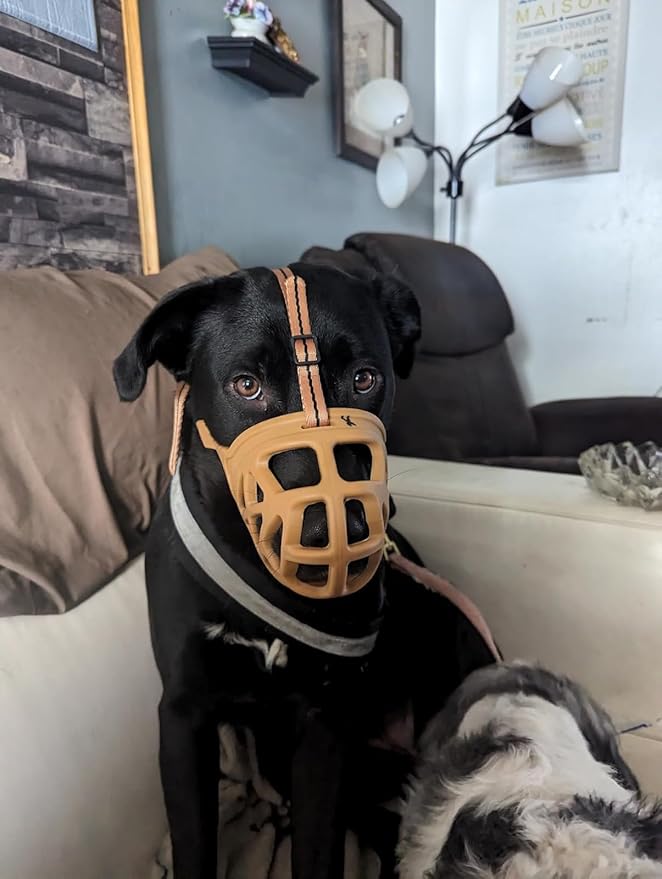 Mayerzon Dog Muzzle, Breathable Basket Muzzles for Small, Medium, Large and X-Large Aggressive Dogs Beagle German Shepherd Doberman, Cage Mouth Guard Stop Biting Chewing for Grooming Training