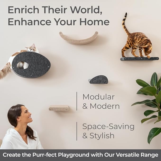 Wall Mounted Cat Shelves (Set of 4) by Pryde Pets - 100% Sustainable PET Felt Feline Enrichment Climber Furniture for Small & Large Indoor Cats, Modern Climbing Gym Jungle Design (Oatmeal)