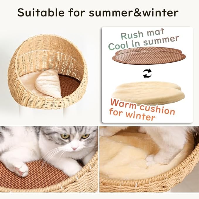 Wood Cat Tree 60'' with Woven Beds, 5-Level Natural Cat Condo with Sisal Posts & Clear Bubble Lounge, Multi-Level C at Furniture for Indoor Pets, Easy to Assemble (Brown-Particle Board)