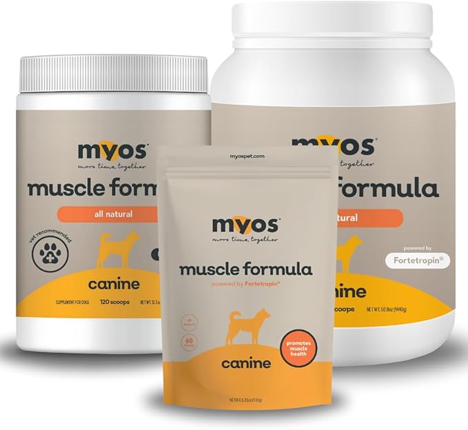 MYOS Canine Muscle Formula - All-Natural Muscle Building Supplement - Helps Reduce Muscle Loss in Aging Dogs and Improve Recovery from Injury or Surgery