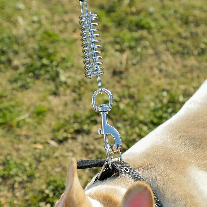 Tie Out Cable for Dog,20FT Dog Leads with Swivel Hook and Shock Spring,Heavy Duty Tie Out Cable for Large Dogs Up to 125lbs,Durable Dogs Runner Tether Line for Outdoor,Yard