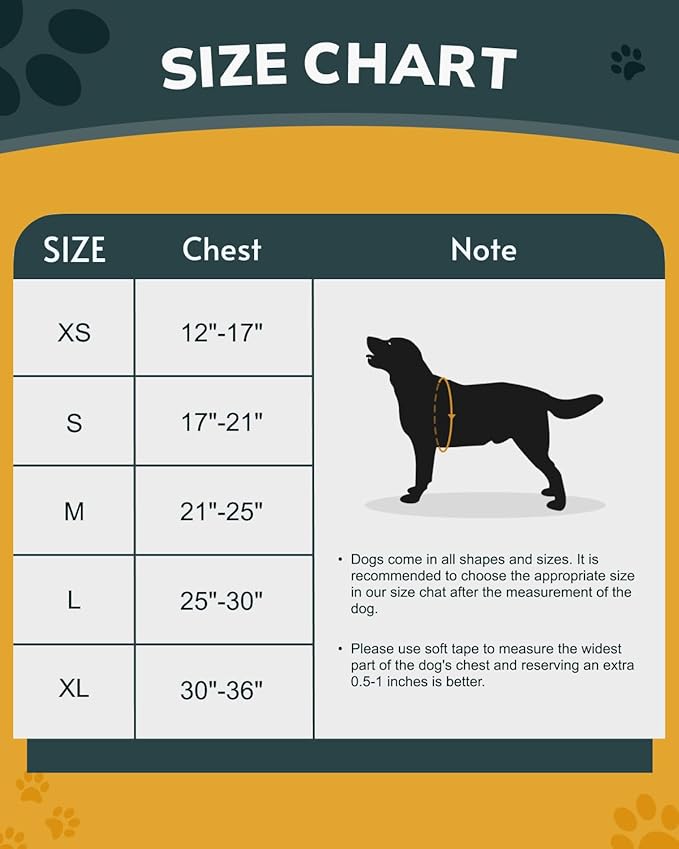 MIDOG No-Pull Dog Harness | Adjustable & Reflective Pet Harness Leash Set for Small Medium Large Dogs Walking, Training| No Choke, Front Clip, Soft Padded Vest with Easy Control Handle - Blue, S